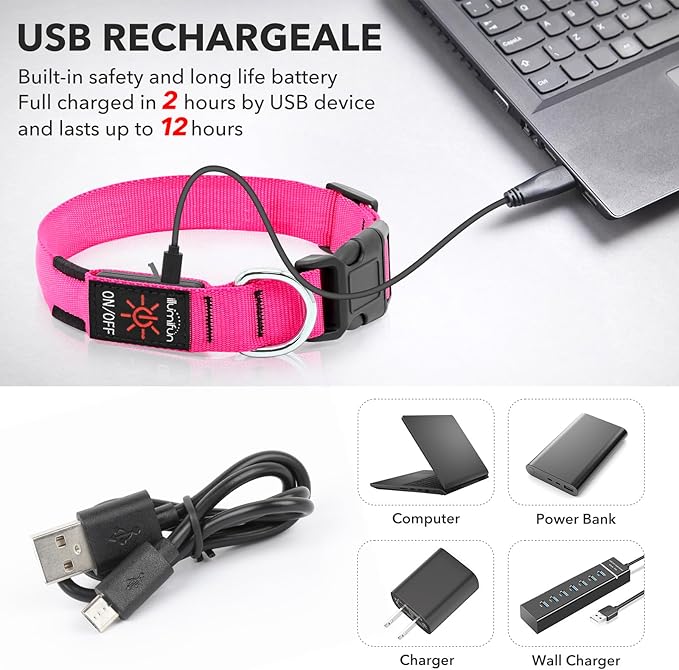 Illumifun LED Dog Collar, USB Rechargeable Light Up Dog Collars, Waterproof Adjustable Safety Collar Light for Small Dogs Walking at Night (Pink, Small)