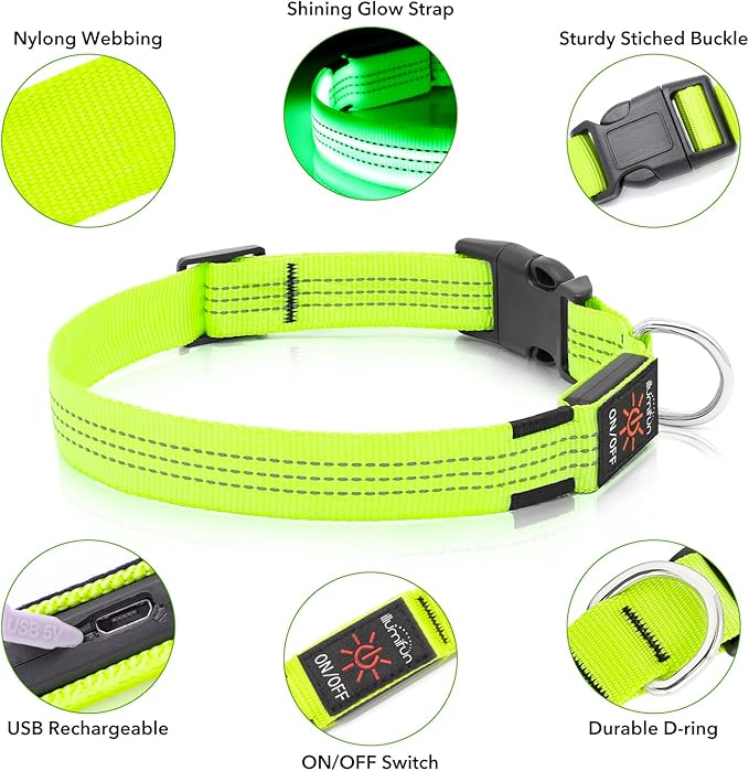 Illumifun LED Dog Collar, Rechargeable Light Up Collars, Reflective Safety Collar Light for Nighttime Walking Camping (Greenā
¢, Medium)