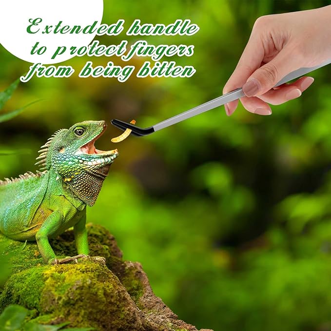 Lasnten 2 Pcs Crested Gecko Tank Accessories Stainless Steel Reptile Feeding Tong with Rubber Tip and Feeding Spoon Bearded Dragon Snake Aquarium Curved Tweezer Terrarium Feeder Tool for Tank