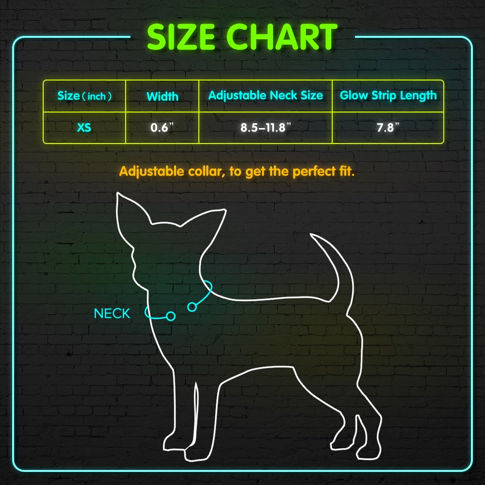 BSEEN Light Up Dog Collar, Rechargeable LED Dog Collar Glowing Cat Collars Reflective Puppy Collar Safety Dog Lights for Night Walking(Orange, XS)