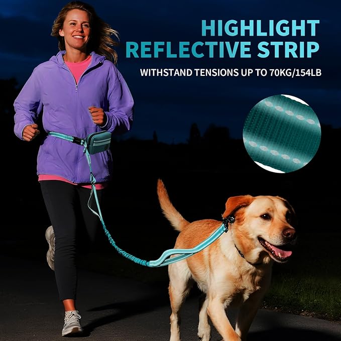 Hands Free Dog Leash with Removable Zipper Pouch, Dual Padded Handles and Durable Bungee for Walking, Jogging and Running Green