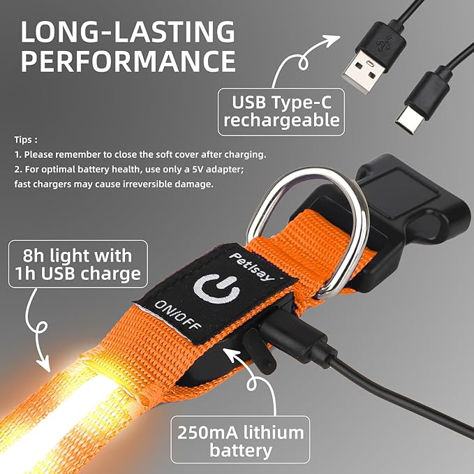 Super Bright LED Dog Collar - Fully Waterproof & Adjustable Glow Collar - USB-C Rechargeable for Night Walking, Safety - Flashing Lighted Collar for Dogs(Orange,L)