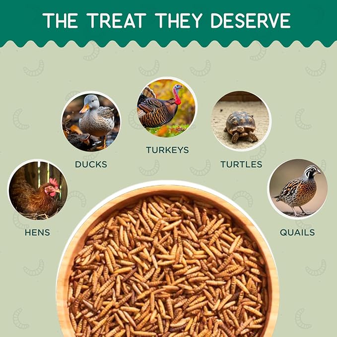 FLYGRUBS 10 lb Dried Black Soldier Fly Larvae - High Calcium Chicken Feeder - 85X More Calcium, Non-GMO Meal Worms for Wild Birds, Ducks, Turkeys, Quails, Turtles - Nutrient-Rich BSFL