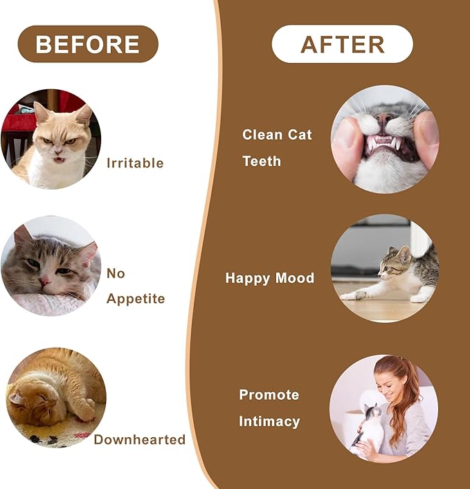 2-Pack Cat Wand Toys with Feather & Silvervine Stick – Adjustable 16"-28" Interactive Cat Teaser Toy for Indoor, Elastic String with Bell – Durable, Bouncy & Irresistible Catnip Alternative