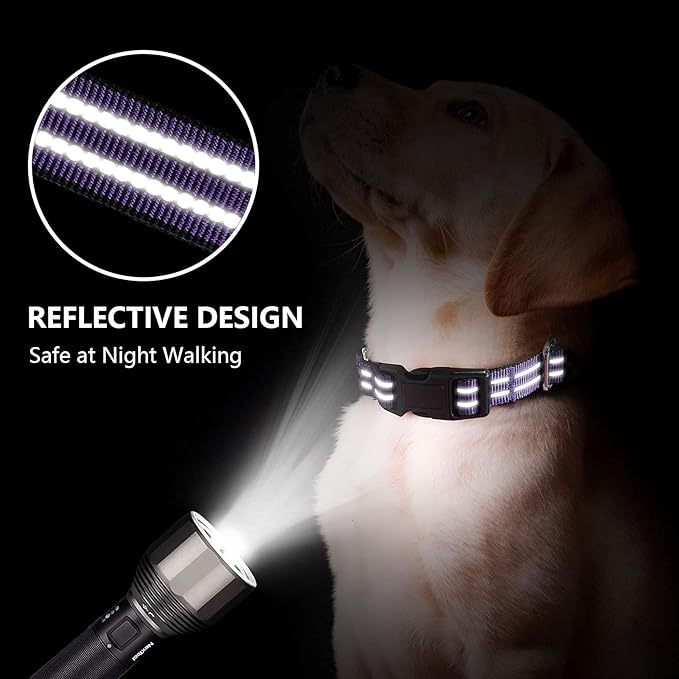 Hikiko Martingale Collar for Dogs Reflective Nylon Dog Collar with Quick Release Buckle Adjustable Training No Slip Dog Collar (Small, Purple)