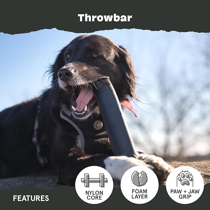 Barkbox Super Chewer Tough Dog Fetch Toy for Aggressive Chewers, Durable Rubber & Nylon for Small, Medium, & Large Dogs & Puppies, Throwbar