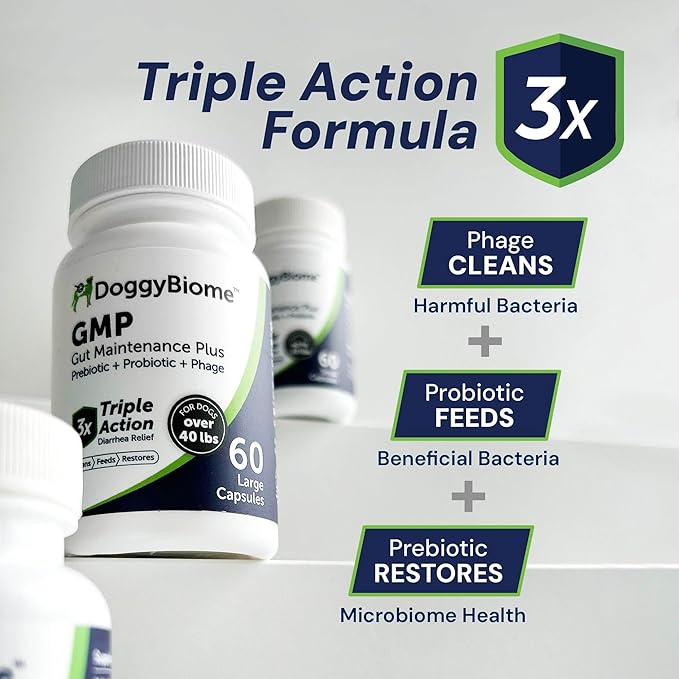 Dog Probiotics - GMP Prebiotics and Probiotics - Reduce Diarrhea Flareups - for Dogs 21-40 lbs (60 Capsules) - DoggyBiome
