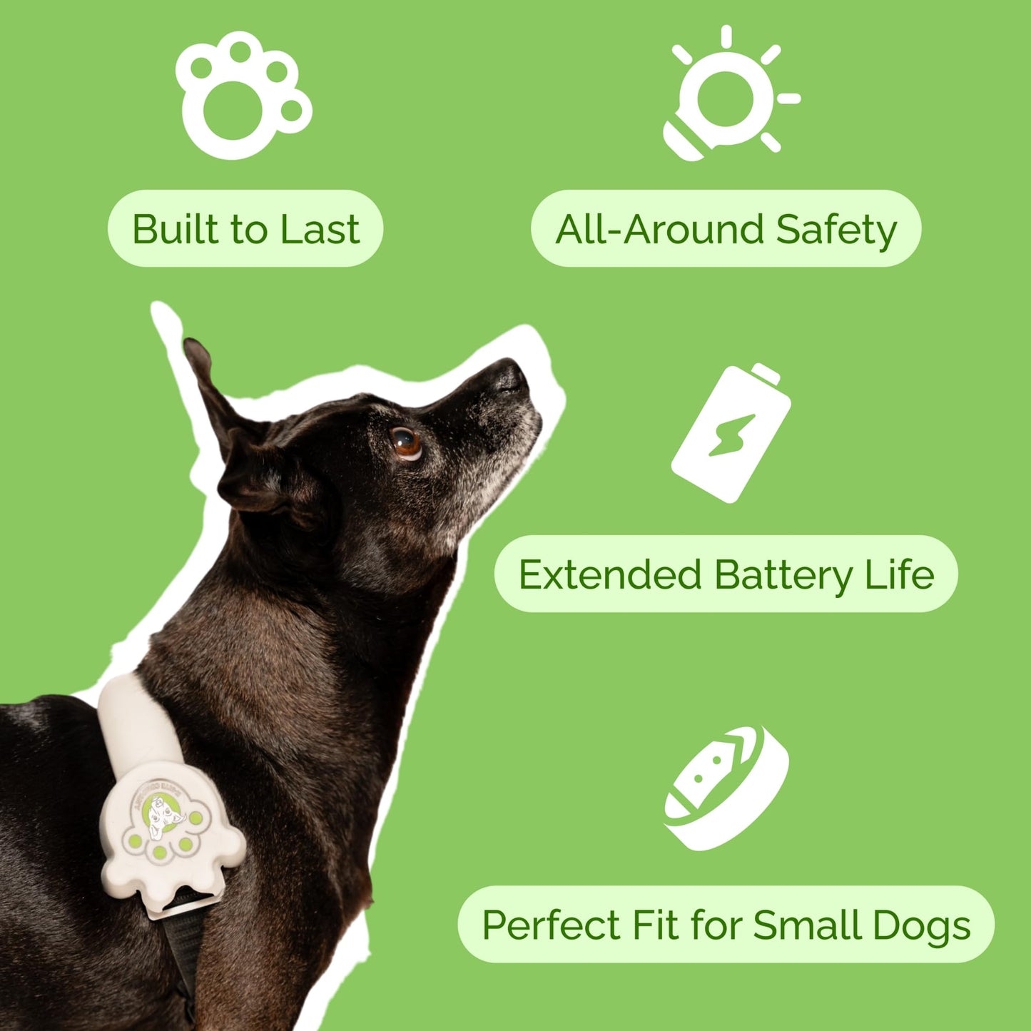 Better Than Light up Dog Collar for Small Dogs, LED Dog Collar Rechargeable, Dog Safety Device With An Unique Belt-Style Design