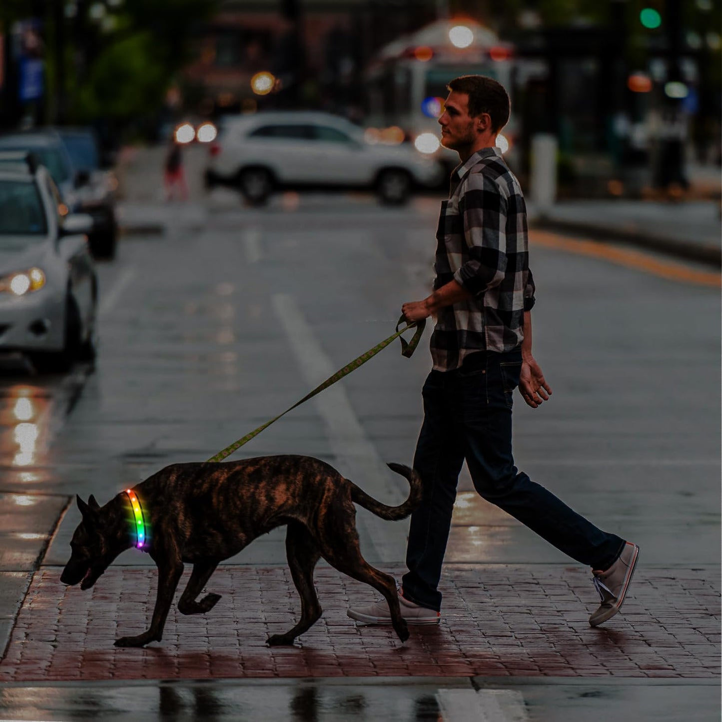 LED Dog Collar, Multicolor Light Up Dog Collar, USB Rechargeable & High-Visibility Glow in The Dark Dog Collars for Night Walks, IPX7 Waterproof, Large