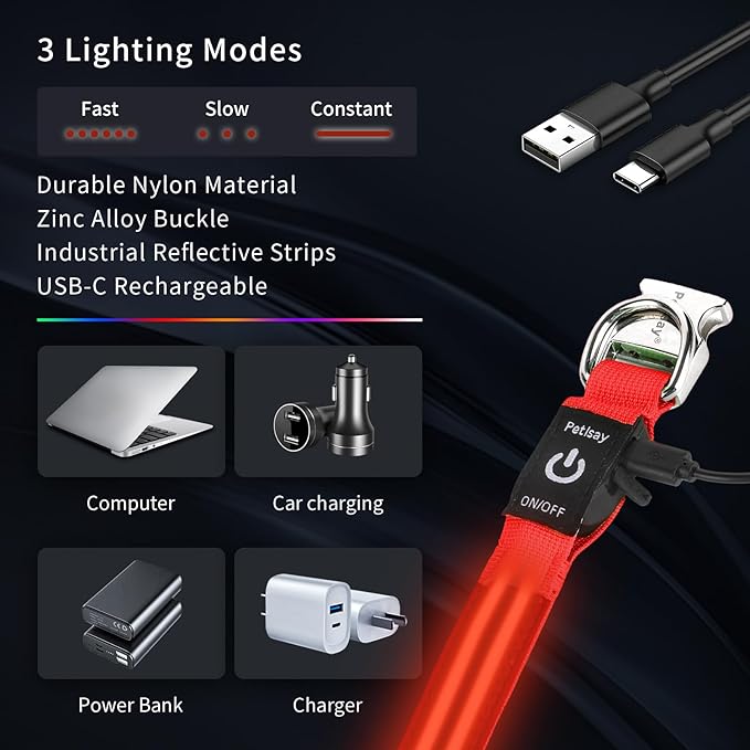 LED Dog Collar with Metal Buckle - USB Rechargeable Glow Collar for Dogs, Waterproof Light Up Dog Collar w/Reflective Strips - Adjustable Night Safety Collars by PetIsay(Red,Medium)