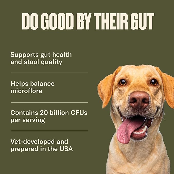 Nom Nom Dog GI-Targeted Probiotic Support - with Prebiotic Fiber, Inulin, and Saccharomyces boulardii - Gut Health Dog Probiotics for Gastrointestinal and Stomach Relief (GI Powder)