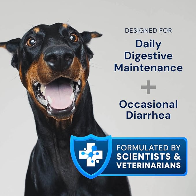Dog Probiotics - GMP Prebiotics and Probiotics - Reduce Diarrhea Flareups - for Dogs 21-40 lbs (60 Capsules) - DoggyBiome