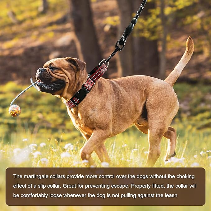 Hikiko Martingale Dog Collars Reflective Nylon Dog Collar with Quick Release Buckle Adjustable Training No Slip Dog Collar (Medium, Red)