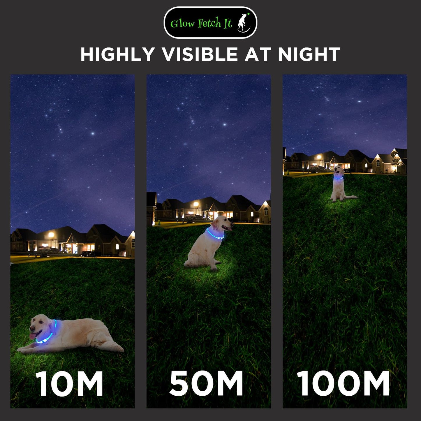 LED Dog Collar, Waterproof Light Up Dog Collar Rechargeable, Dog Safety Necklace for Night Walking, Adjustable Cut-to-Fit Silicone Collar Small Medium Large Dog 27.5” Cuttable (Blue)