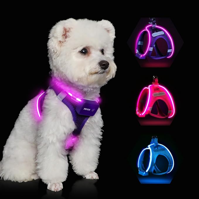 Light Up Dog Harness,Rechargeable LED Dog Harness for Small Medium Large Dogs,Reflective Lighted Safety Vest for Night Walking & Camping,Lightweight & Adjustable,Purple,L