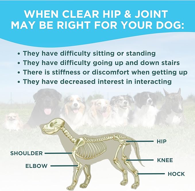 Glucosamine for Dogs Hip and Joint Supplement - Chondroitin, MSM, Green-Lipped Mussel - Clear Hip & Joint - Advanced Mobility Cartilage Support, Bone Health - Tasty Chews 60ct - Made in USA