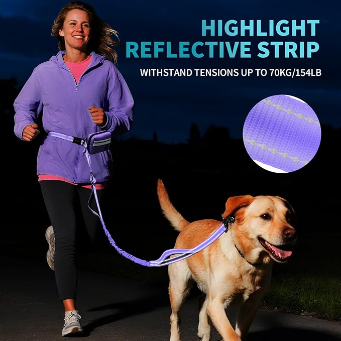 Hands Free Dog Leash with Removable Zipper Pouch, Dual Padded Handles and Durable Bungee for Walking, Jogging and Running-Purple