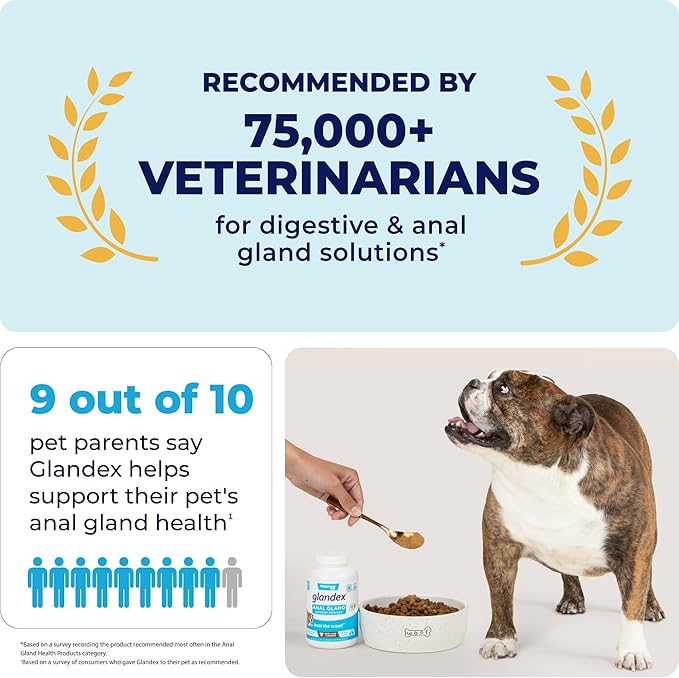 Vetnique Glandex Dog Fiber Supplement Powder for Anal Glands with Pumpkin, Digestive Enzymes & Dog Probiotics for Digestive Health - Vet Recommended - Boot The Scoot (Vegan Salmon, 2.5oz Powder)