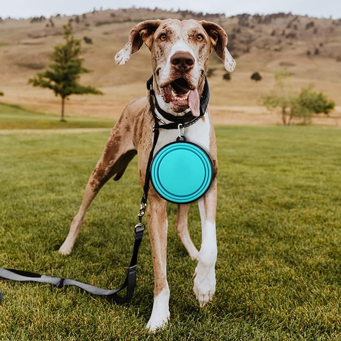 Collapsible Dog Bowl, Lightweight and Portable, Ideal for Camping, Hiking, and Outdoor Use