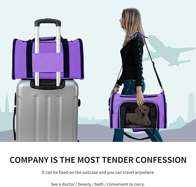 Mile High Life | Outdoor Travel Pet Carrier | Kitty Puppy Cat Carriers | Collapsible Dog Carrier for Small Medium Dogs | Cat Crates w Breathable Mesh with Soft-Sided (Purple, Large)
