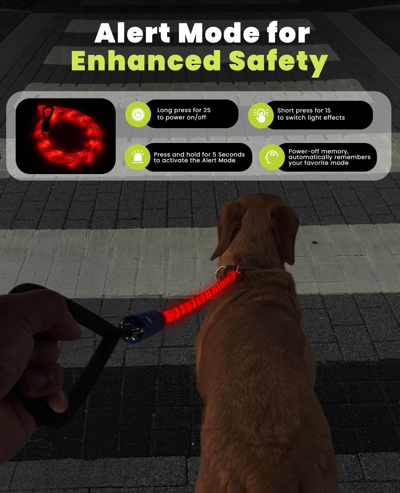 Light Up Dog Leash, LED Pet Leash for Night Walking,13 Lighting Modes, Rechargeable Dog Lights, Glow in The Dark Walking Leashes with Tangle-Free Hook for Small Medium Large Dogs - 4 Ft