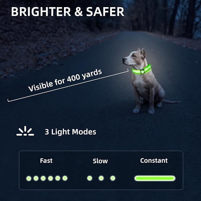 Super Bright LED Dog Collar - Fully Waterproof & Adjustable Glow Collar - USB-C Rechargeable for Night Walking, Safety - Flashing Lighted Collar for Dogs(Green,Small)