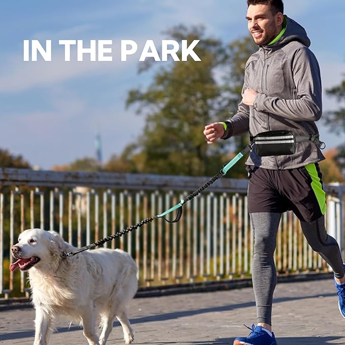 Hands Free Dog Leash, Retractable Bungee with Double Padded Handles, Waist Leash for Dog Walking, Heavy Duty for Large Dogs, Mint Green