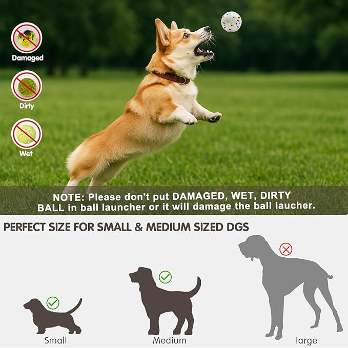 Automatic Ball Launcher for Dogs with 6 Balls