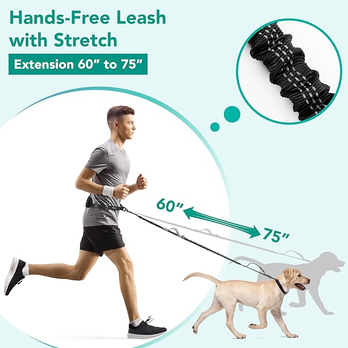 PetAmi Heavy Duty Hands Free Dog Leash, Adjustable Waist Belt for Large Dog Walking Up to 125 lbs, Bungee Leash for Pet Running, Hiking, Reflective Safety for Jogging, Biking, Grey Handle
