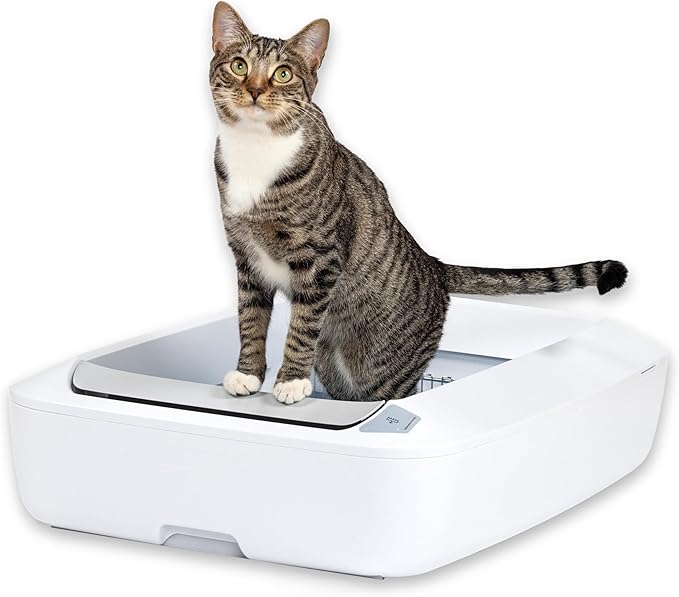PetSafe ScoopFree Crystal Plus Automatic Self Cleaning Cat Litter Box System – Not Enclosed – Advanced Odor Control – Includes 1 Disposable Crystal Litter Tray – White (PAL00-18016)