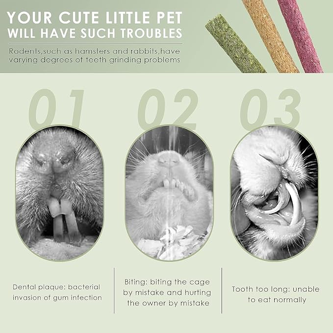 ERKOON Timothy Hay Sticks,Rabbit Chew Toys for Teeth Natural Molar Sticks Rabbits Treats for Bunnies, Chinchilla Guinea Pigs, Gerbil, Hamster (75 Pcs)