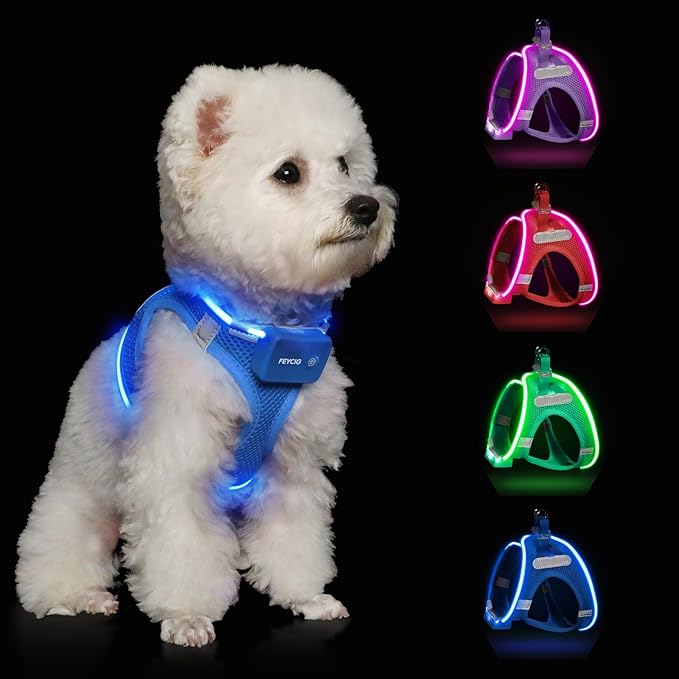 Light Up Dog Harness,Rechargeable LED Dog Harness for Small Medium Large Dogs,Reflective Lighted Safety Vest for Night Walking & Camping,Lightweight & Adjustable,Sky Blue,XS