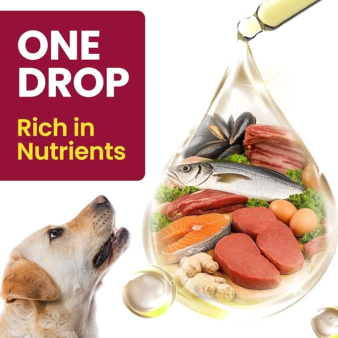 Glucosamine for Dogs, Liquid Hip and Joint Supplement, Chondroitin Drops for Dogs, Joint Drops for Dog, Dog Supplement for Mobility Pain Relief - 60ml