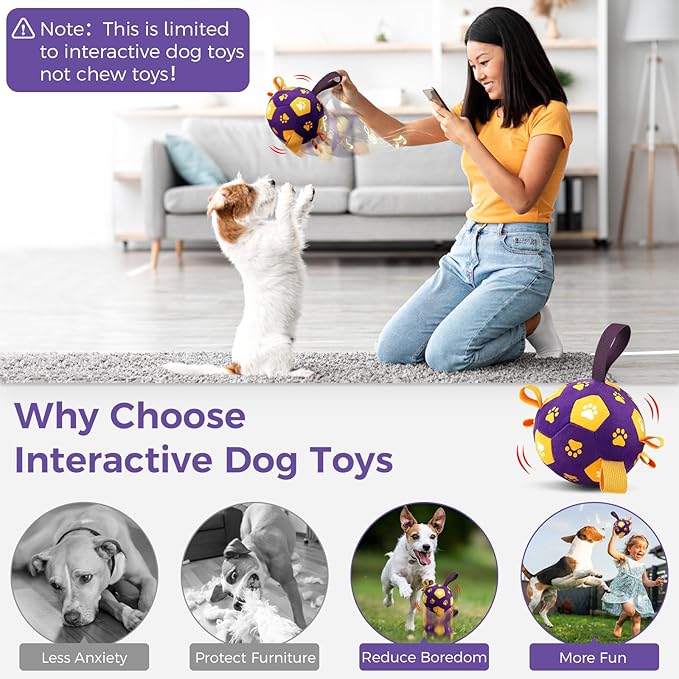QDAN Interactive Dog Toys, Squeaky Moving Ball Toy with Remote Control, Music Modes Bouncing Ball for Dogs, Rechargeable Dog Toys to Keep Them Busy, Puppy Toys for Small Medium Large