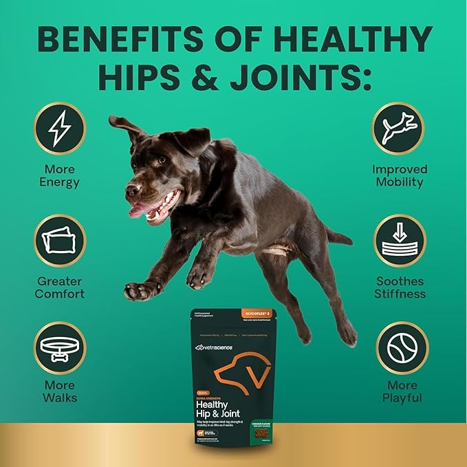 VetriScience Glycoflex 3 Hip and Joint Supplement for Dogs - Maximum Strength Dog Supplement with Glucosamine, MSM, Green Lipped Mussel & DMG - 3 Pack (120 Chews Each)