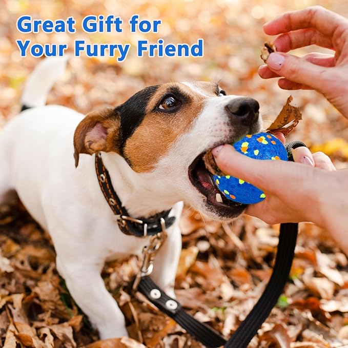 Dog Tennis Balls for Aggressive Chewers, Indestructible Dog Balls for Fetch Game, Durable Bouncy Lightweight Floating Toys (1 Blue + 1 Yellow, Small (2.5" Diameter))