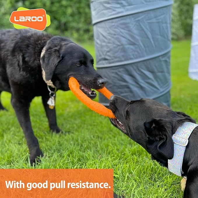 LaRoo Dog Flying Ring Toys, Floating Flying Dog Disc Toys, Summer Pet Training Outdoor Durable Chew Toys for Medium and Large Dogs (Medium Orange/22cm)