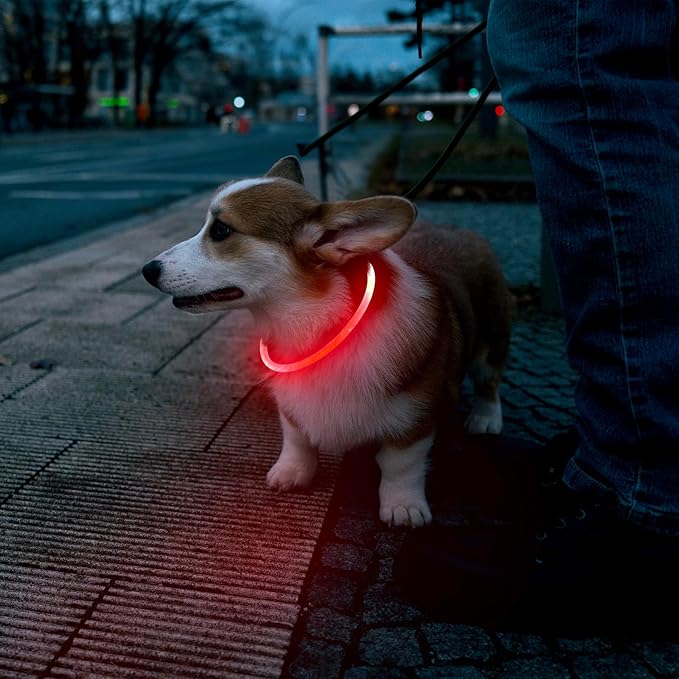 Flashseen LED Dog Collar, USB Rechargeable Glowing Lighted Up Collar, Cuttable Water-Resistant TPU Safety Collar Lights for Small Medium Large Dogs