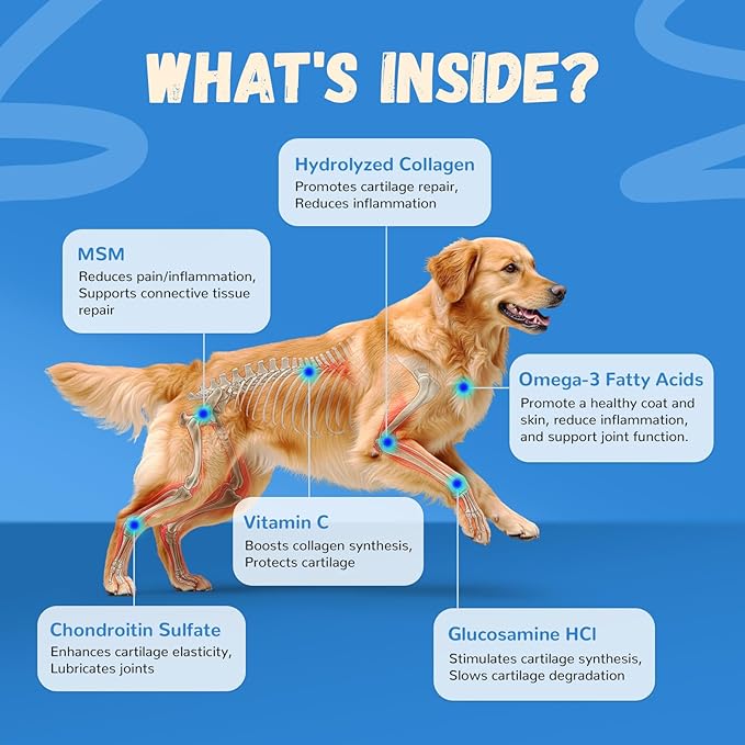 Furrolika Hip and Joint Supplement for Dogs – Made in The USA – Glucosamine, Chondroitin, MSM, Vitamin C – Chewable Joint Support for Mobility & Comfort – Beef Flavor – 60 Soft Chews