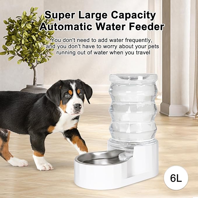 RIZZARI Automatic Dog Water Bowl Dispenser: 6L Upgraded Gravity Stainless Steel Cat Water Dispenser, Water Feeder with Two Caps and Filters for Pets Indoor/Outdoor Use by Owners