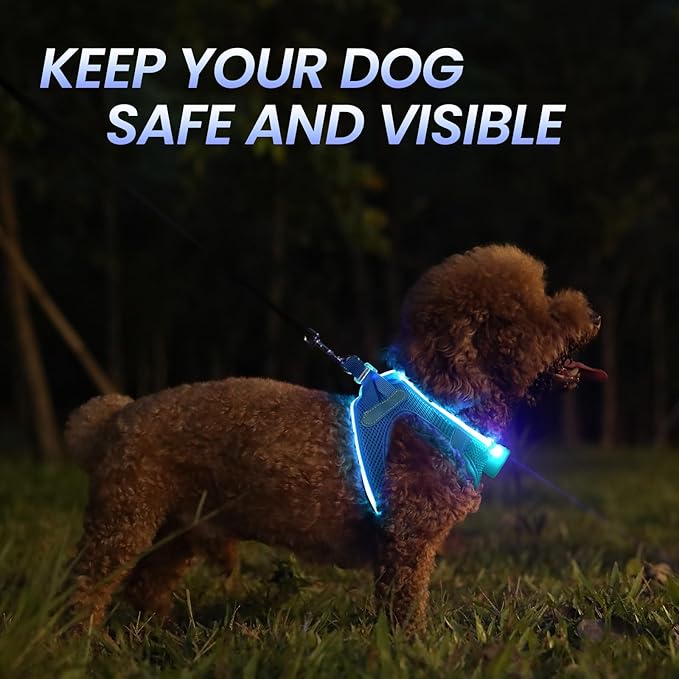 PceoTllar Light Up Dog Harness, LED No Pull Reflective Dog Harness, Flashing Lighted for Night Walking - Small/Medium, (Blue L)