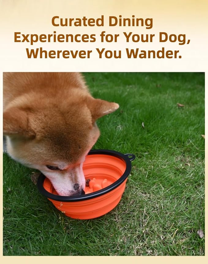 Large Collapsible Dog Bowl for Traveling Hinking Camping,2-Pack Portable Silicone Bowls with2 Sizes(34oz+12oz),Foldable Bowl with Slow Feeding Function