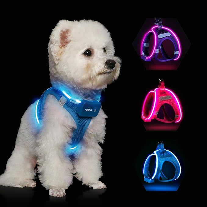 Light Up Dog Harness,Rechargeable LED Dog Harness for Small Medium Large Dogs,Reflective Lighted Safety Vest for Night Walking & Camping,Lightweight & Adjustable,Blue,M