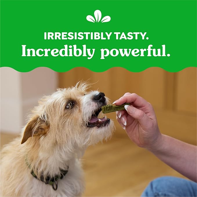 Greenies Teenie Dental Dog Treats, Blueberry Flavor, 12 oz. Pack (43 Treats)