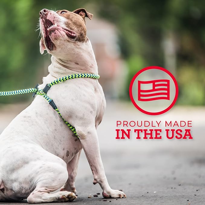 Harness Lead No Pull Dog Harness and Leash Set, Anti Pull Dog Harness, One-Piece Cushioned Rope Safely Prevents Escaping and Pulling *New Insert is Removable (Medium/Large, Rainforest)