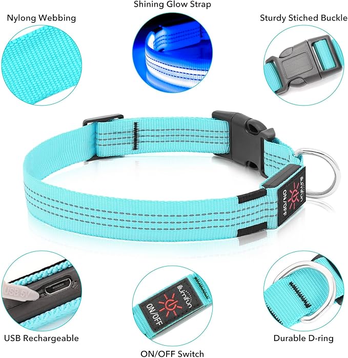 Illumifun LED Dog Collar, Reflective Light Up Collars for Small Dog, USB Rechargeable Pet Collar Light for Dogs Walking Camping (Blueā
¢, Small)