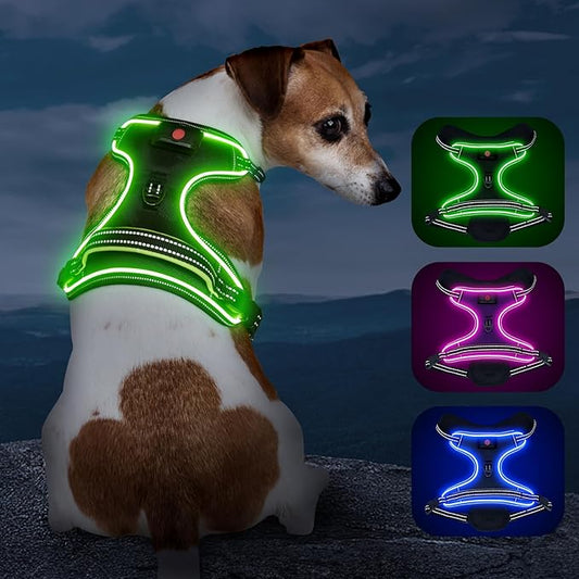 Rechargeable LED Dog Harness - No Pull, 4 Point Adjustable, Small/Medium/Large/X-Large Sizes