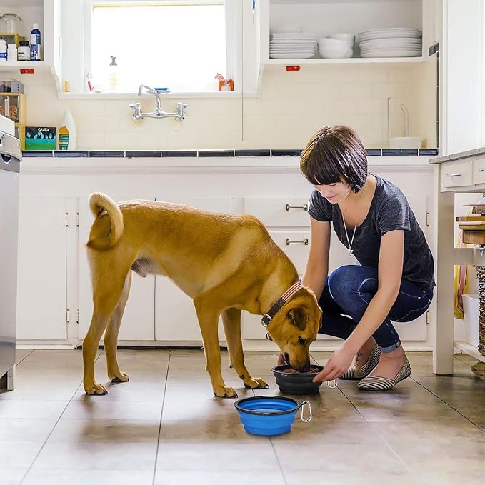 Kytely Large Collapsible Dog Bowls 2 Pack, 34oz Foldable Dog Travel Bowl, Portable Pet Water Food Bowl with Clasp, Pet Cat Feeding Cup Dish for Traveling, Walking, Hiking (Black+Blue)