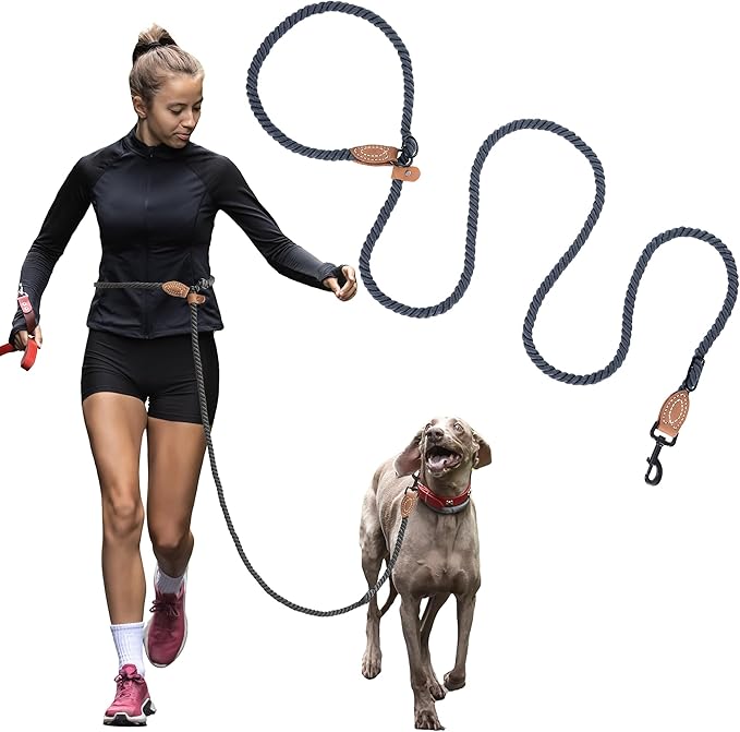 Mile High Life Hands Free Dog Leash, Crossbody Waist Leash with Genuine Leather Connection, Multifunctional Adjustable Slip Lead for Dog Walking Running (Blue Green, 8FT)