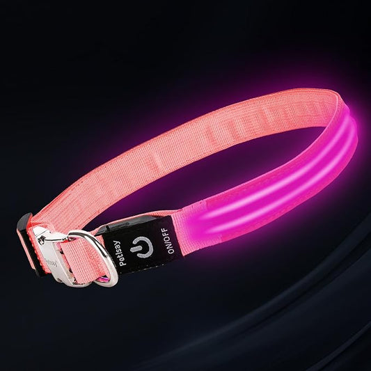 LED Dog Collar with Metal Buckle - USB Rechargeable Glow Collar for Dogs, Waterproof Light Up Dog Collar w/Reflective Strips - Adjustable Night Safety Collars by PetIsay(Pink,Large)